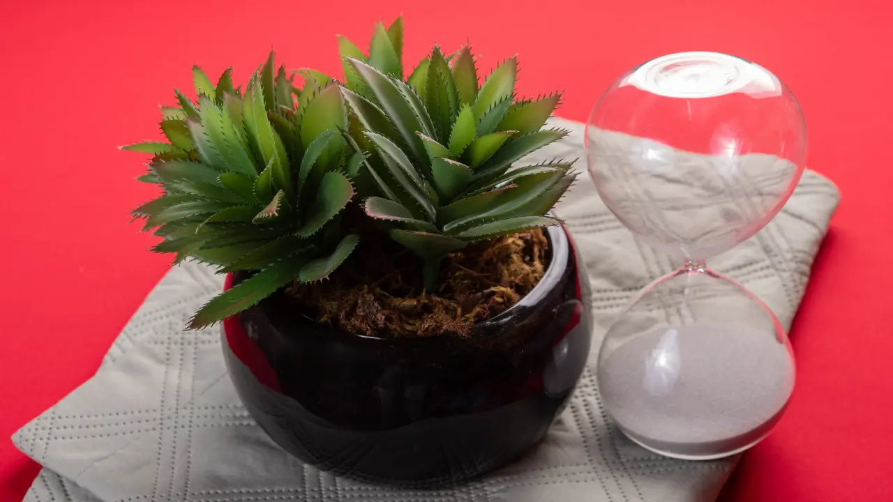 Özel Ölçü Saksı İmalatı ve Kurumsal Peyzaj Çözümleri İçin Neden Decoratime?