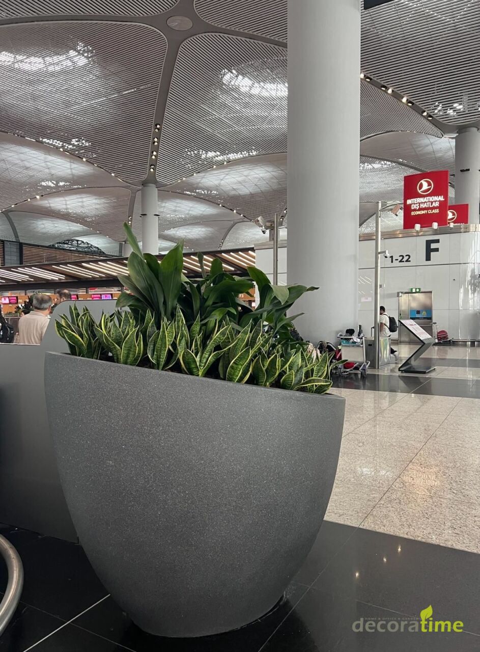 Fiber Saksı | Decoratime Modelleri: Mekanlarınıza Estetik ve Uzun Ömürlü Çözümler