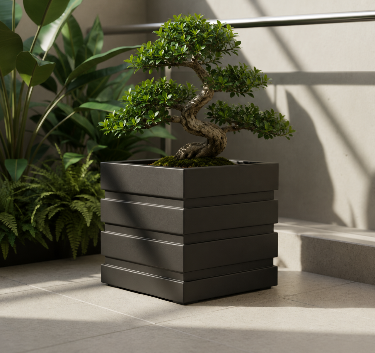 Bonsai Saksı Seçiminde Fiber Saksının Avantajları ve Modern Kullanımı