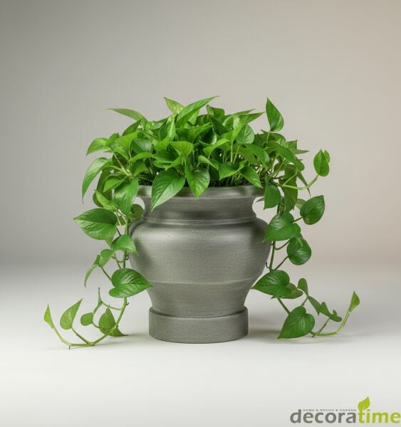 DECORAVINTAGE FİBER SAKSI HİRA - BÜYÜK SAKSI - DEKORATİF SAKSI - ÇİÇEKLİK