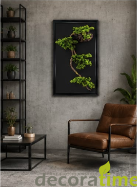 Bonsai Tablo DT-03 54*87