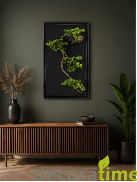 Bonsai Tablo DT-03 54*87