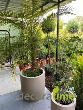 FİBER SAKSI ANTARA - BÜYÜK SAKSI - DEKORATİF SAKSI - ÇİÇEKLİK