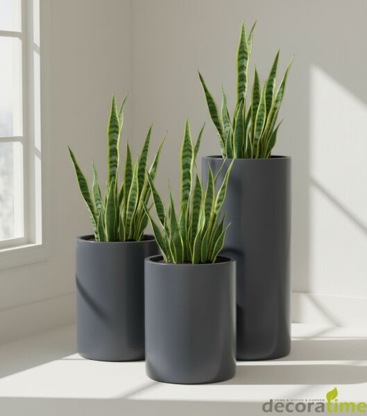 FİBER SAKSI MAXI ANTARA - BÜYÜK SAKSI - DEKORATİF SAKSI - ÇİÇEKLİK